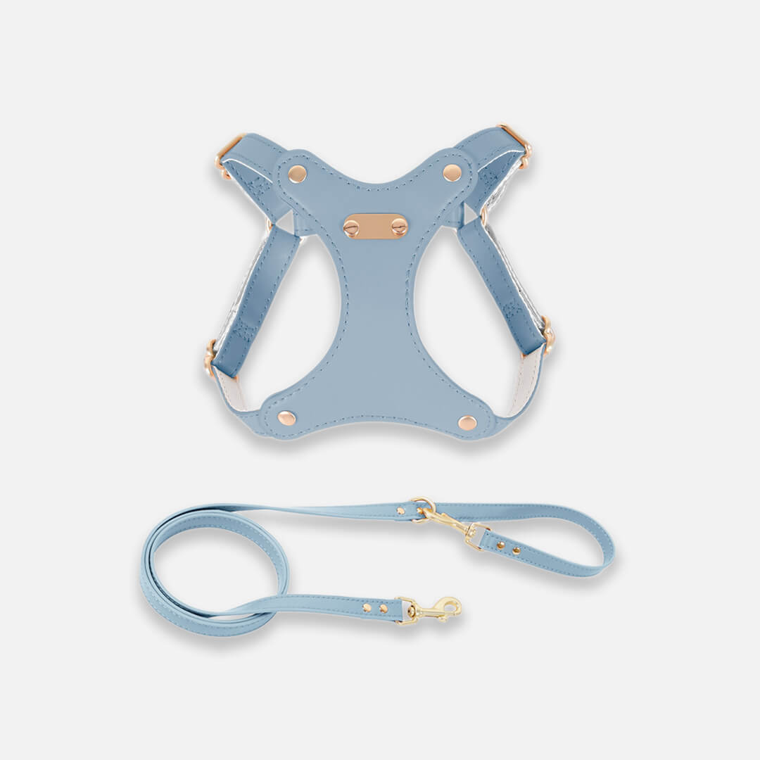 Rio Cat Harness & Leash Set