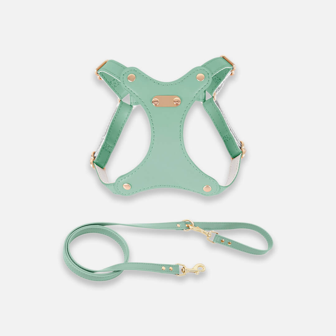 Rio Cat Harness & Leash Set