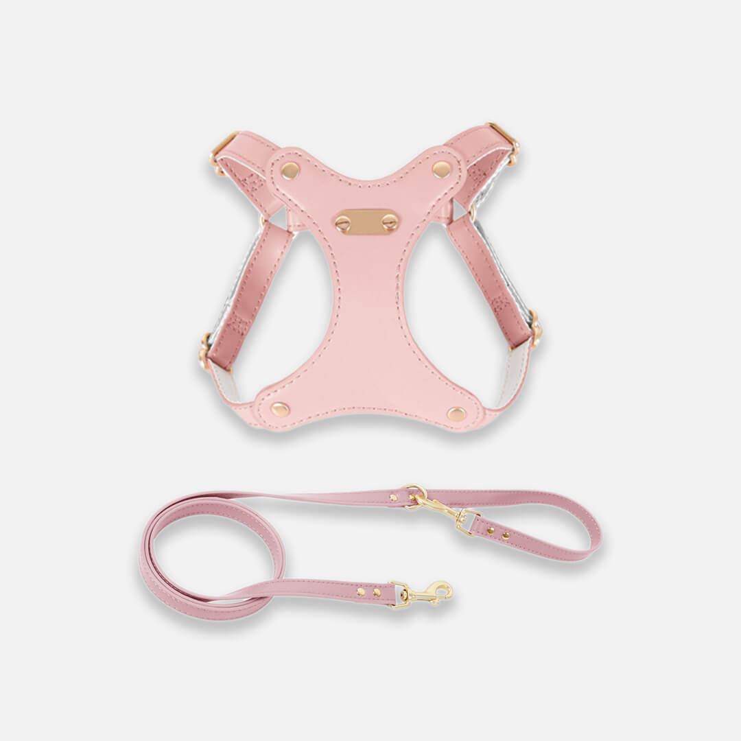 Rio Cat Harness & Leash Set