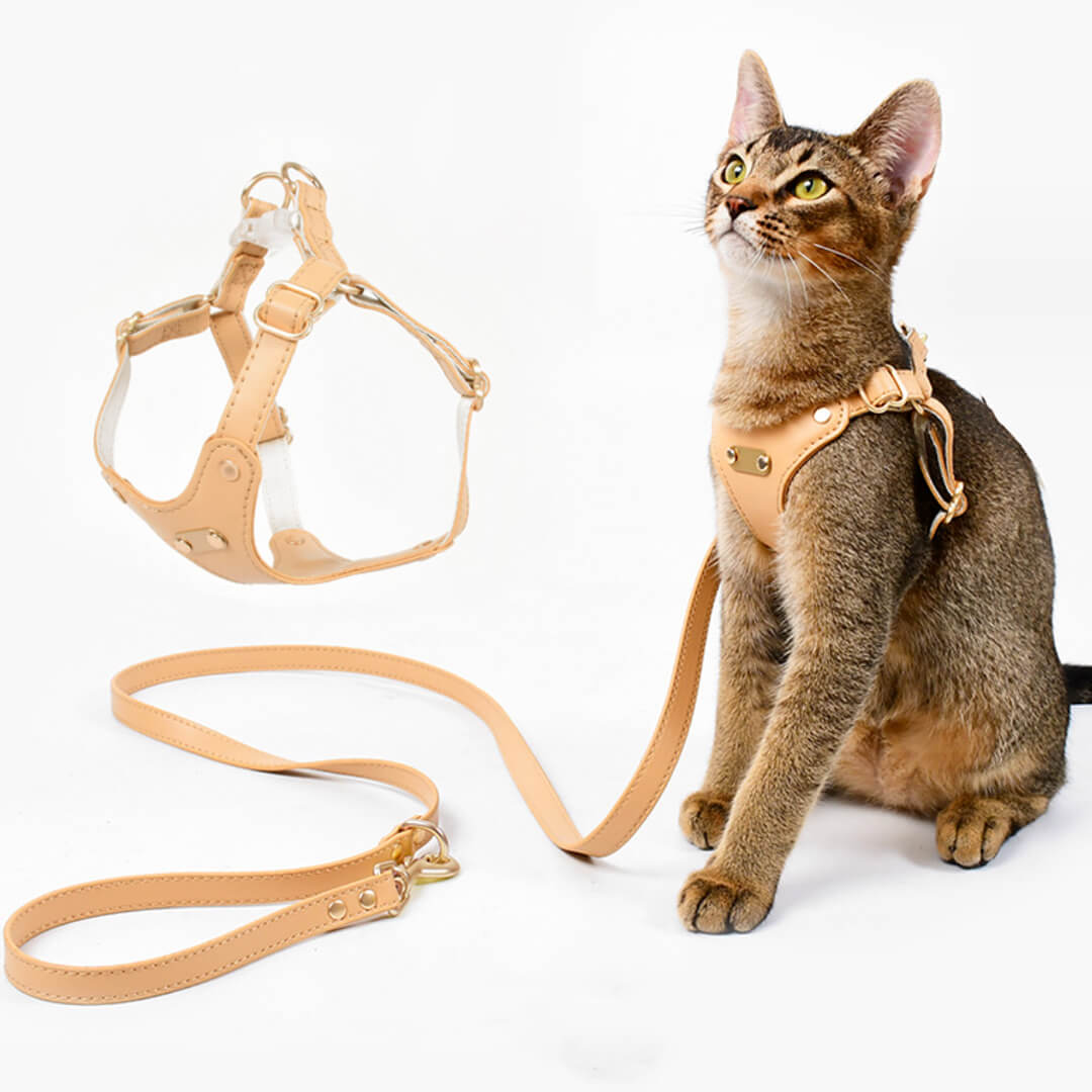 Rio Cat Harness & Leash Set