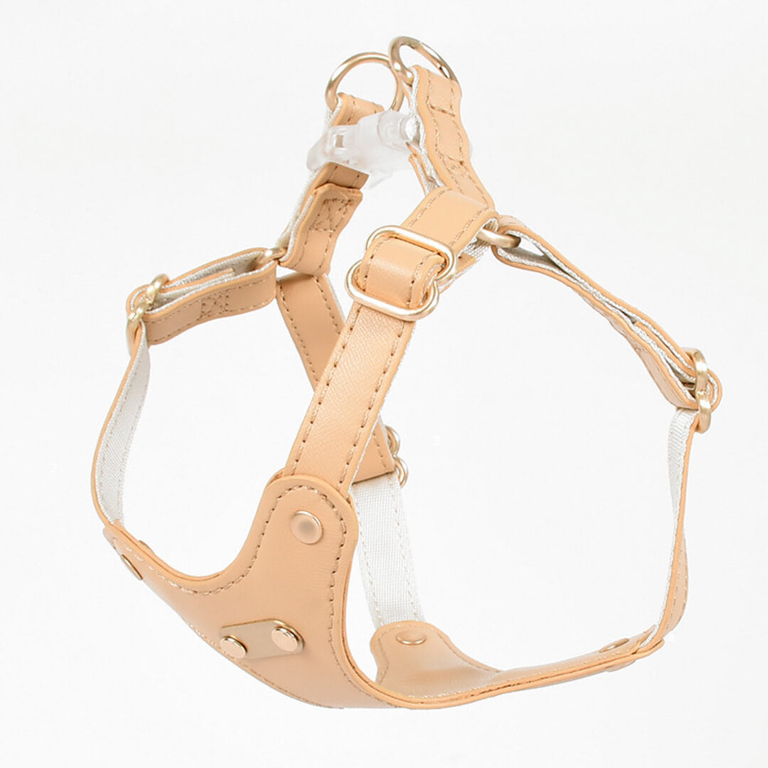 Rio Cat Harness & Leash Set