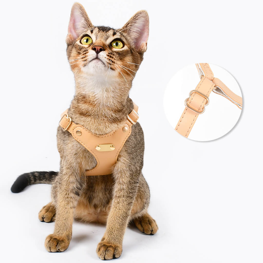 Rio Cat Harness & Leash Set