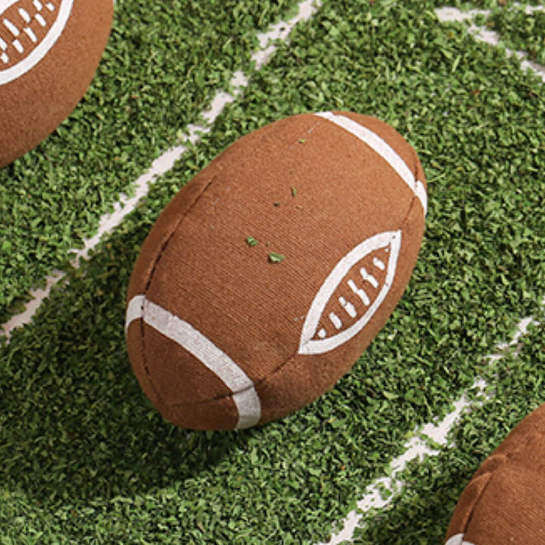 Rugby Catnip Toy