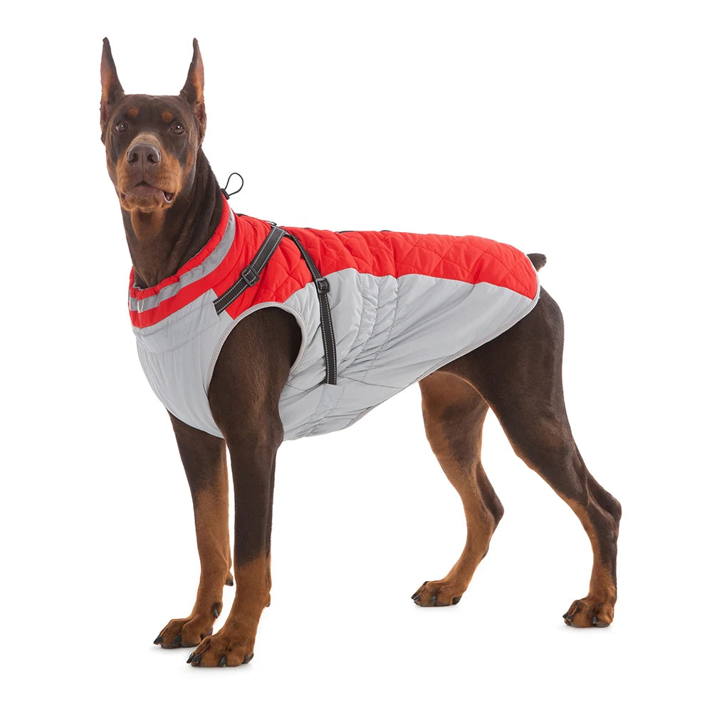 Waterproof jacket