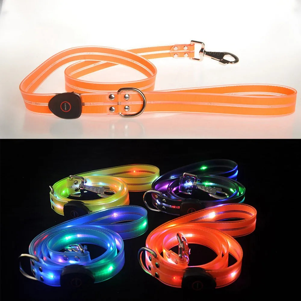 LED collar