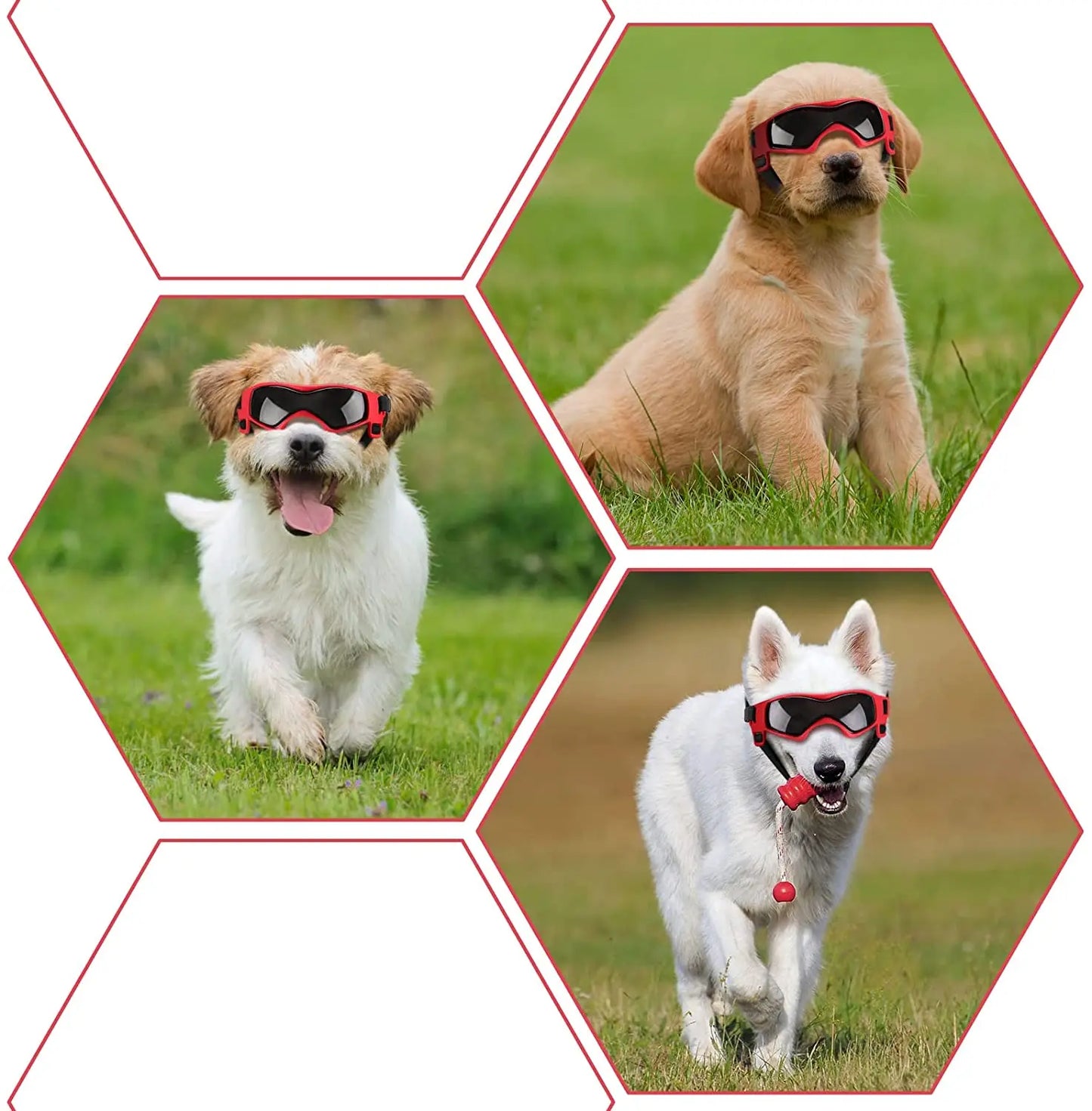 Sunglasses with UV protection