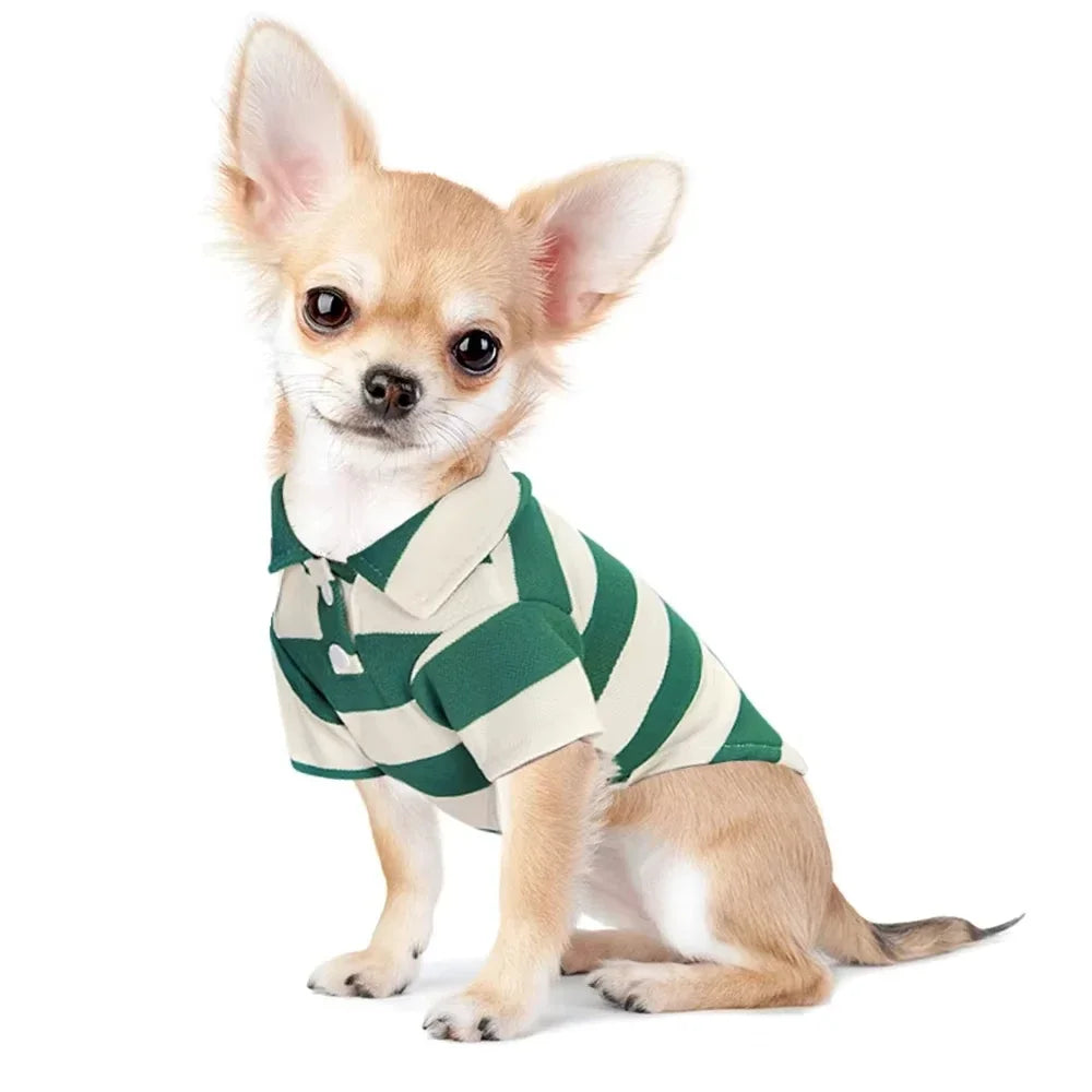 Hairless striped shirts