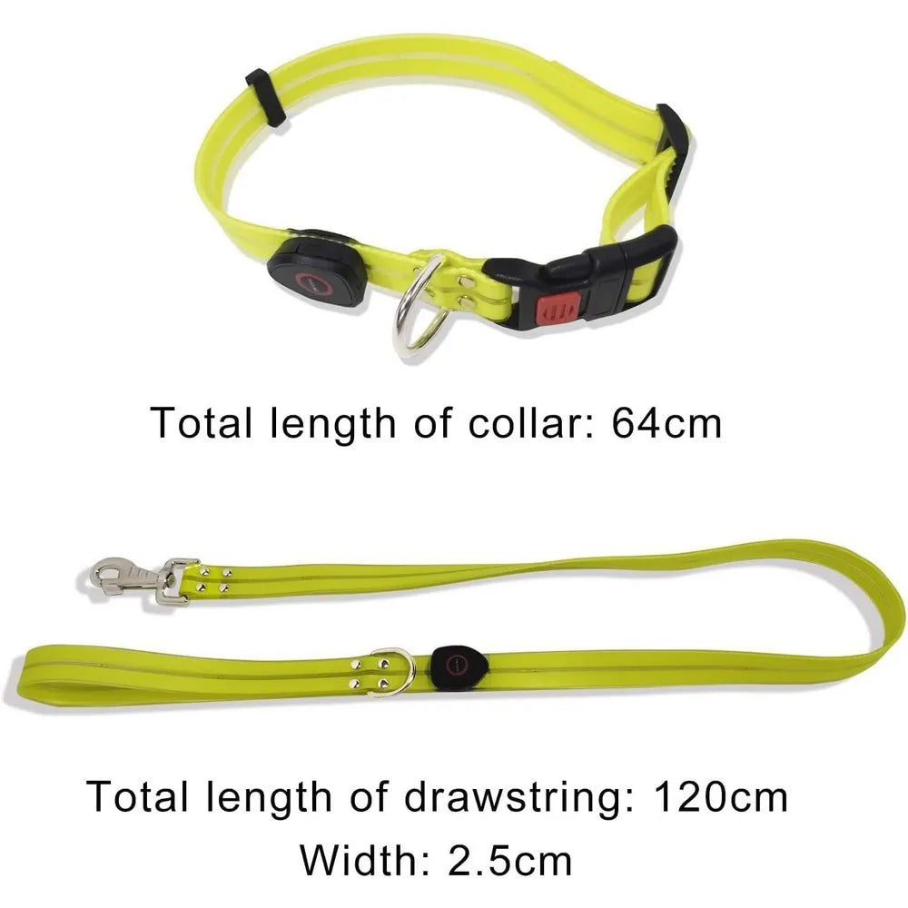 LED collar