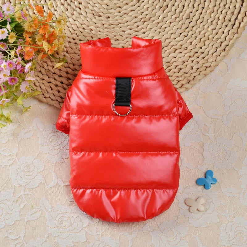 Waterproof jacket