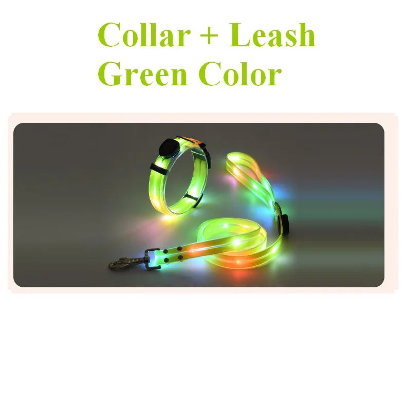 LED collar