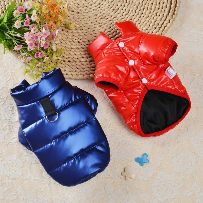 Waterproof jacket