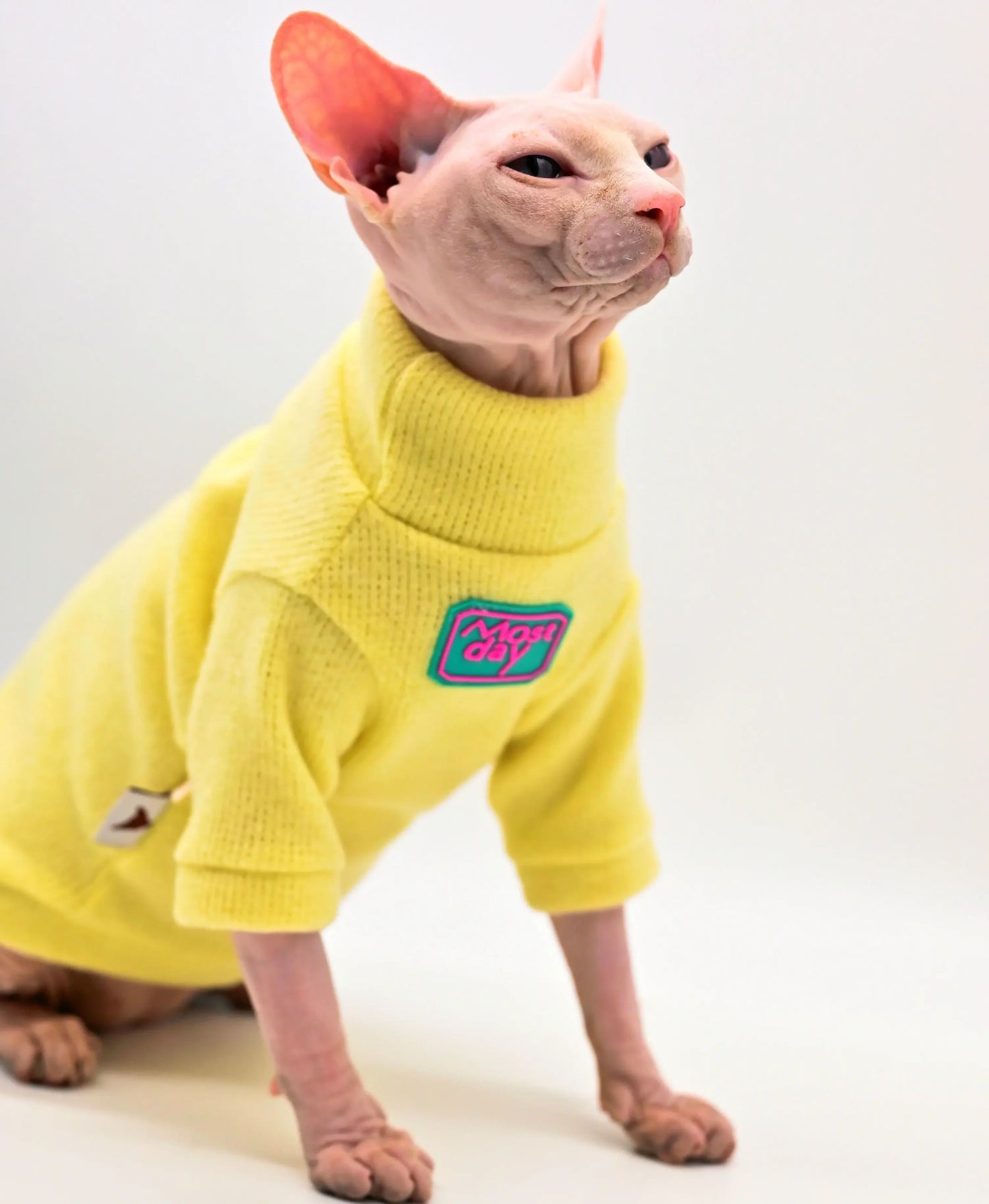 DUOMASUMI-Devon Sphynx Cat Clothes, Fashion Kitty, Soft and Comfort, Winter Hairless Cat Clothes