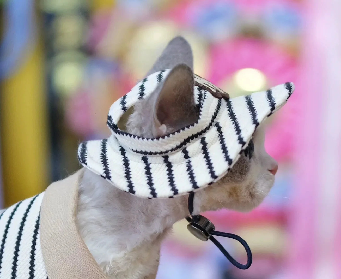 Fashion Striped Polo Shirt with Hat Suit for Sphynx Cat Spring Soft Sweatshirt for Devon Hairless Cat Autumn Costumes