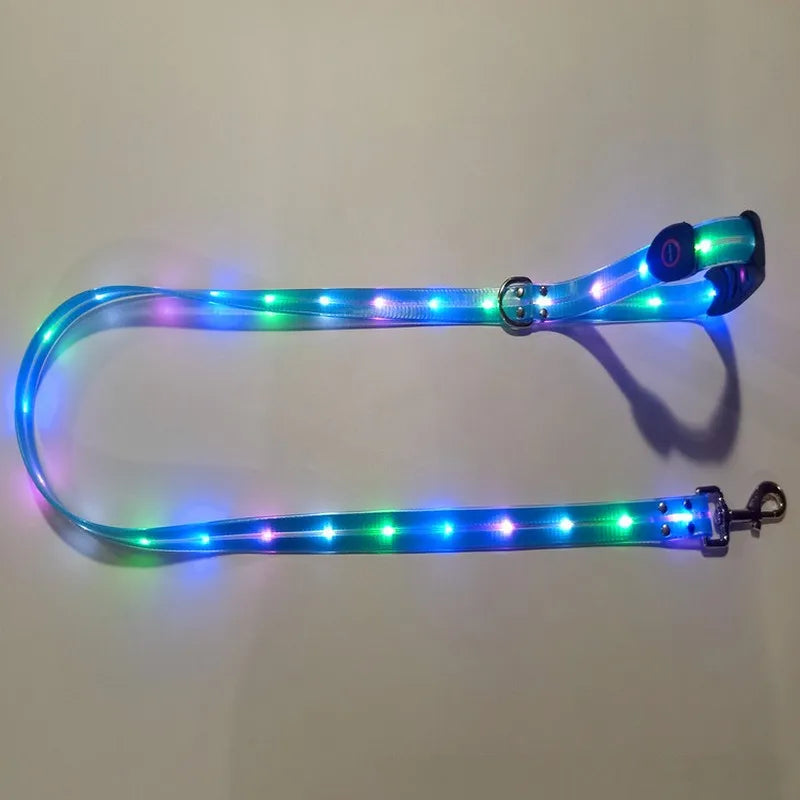 LED collar