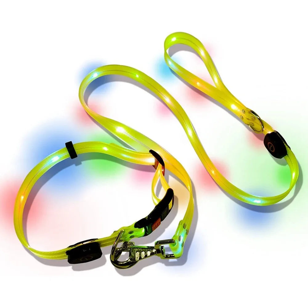 LED collar