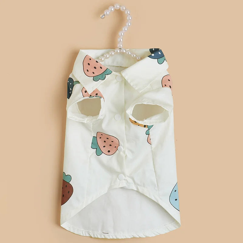 Fashion Sphynx T-shirt.