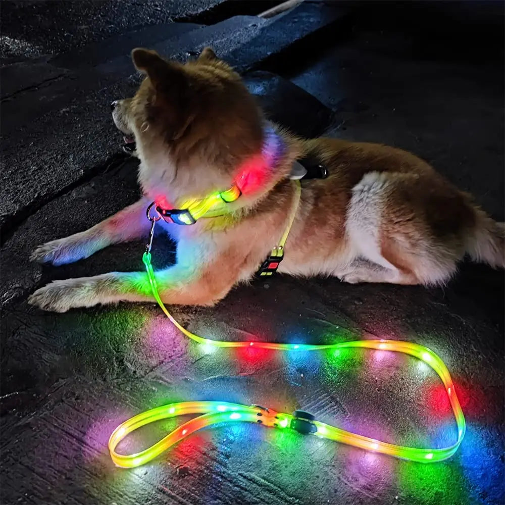 LED collar