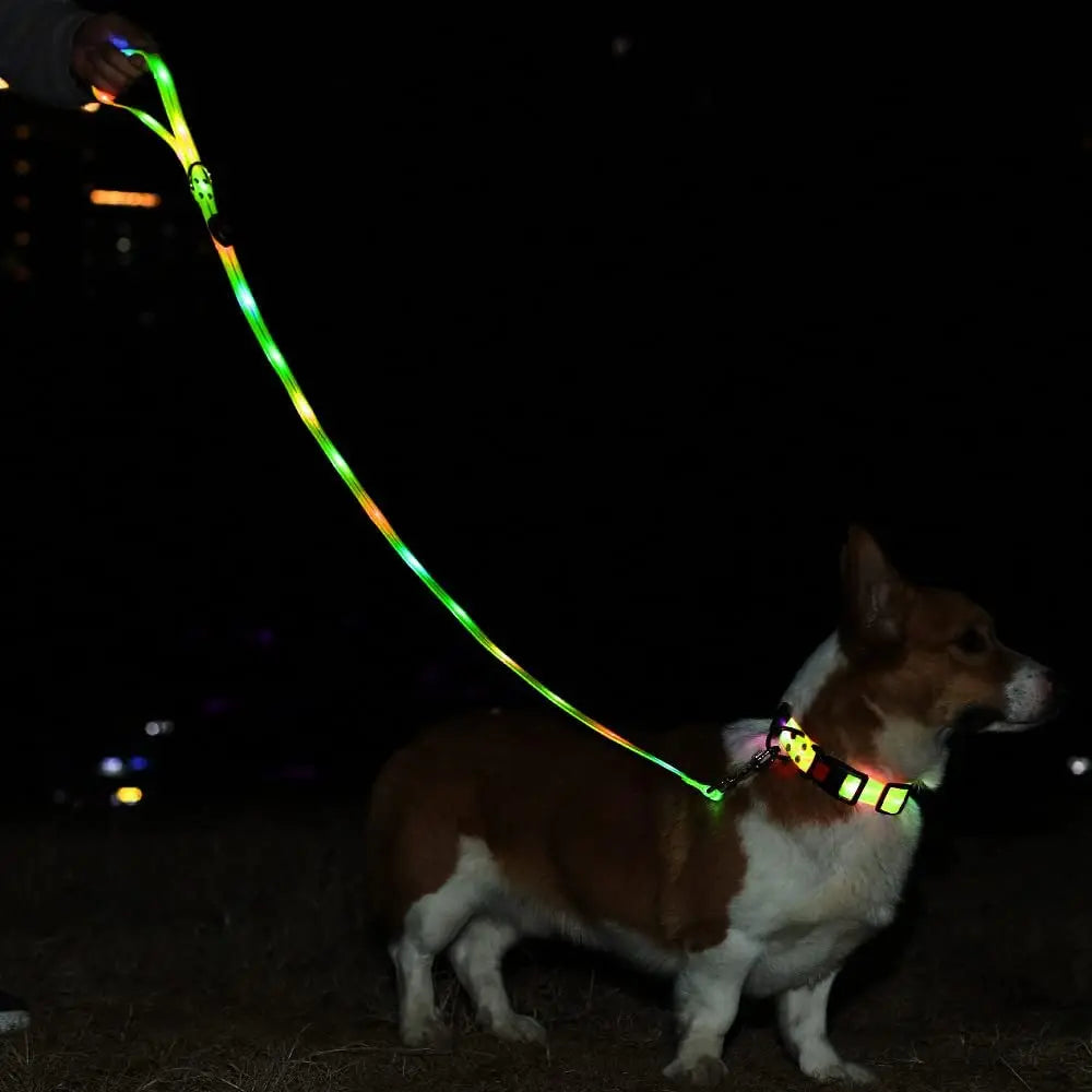 LED collar