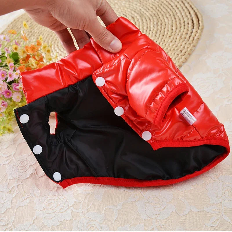 Waterproof jacket