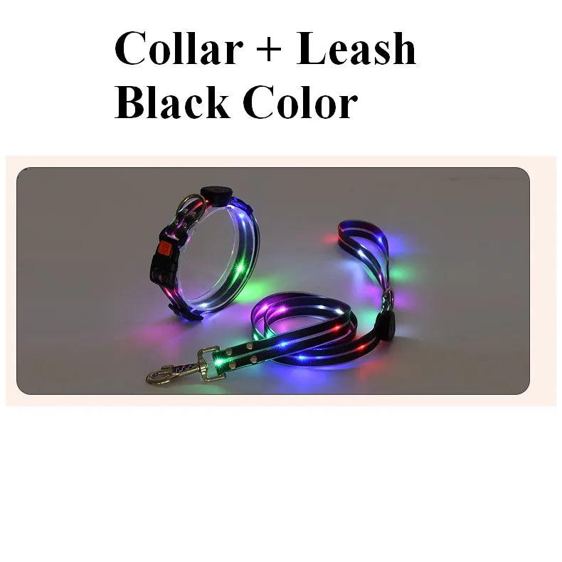 LED collar