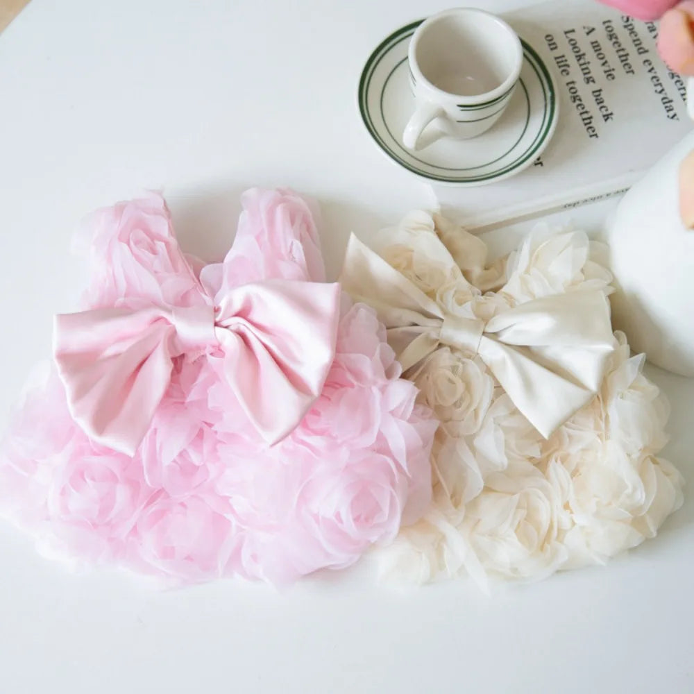 Spring/Summer Dress
