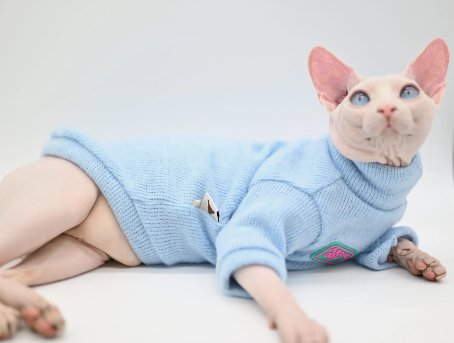 DUOMASUMI-Devon Sphynx Cat Clothes, Fashion Kitty, Soft and Comfort, Winter Hairless Cat Clothes