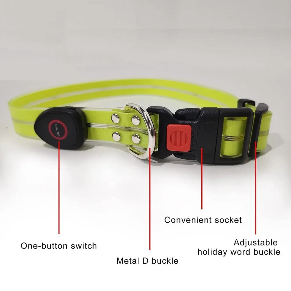 LED collar