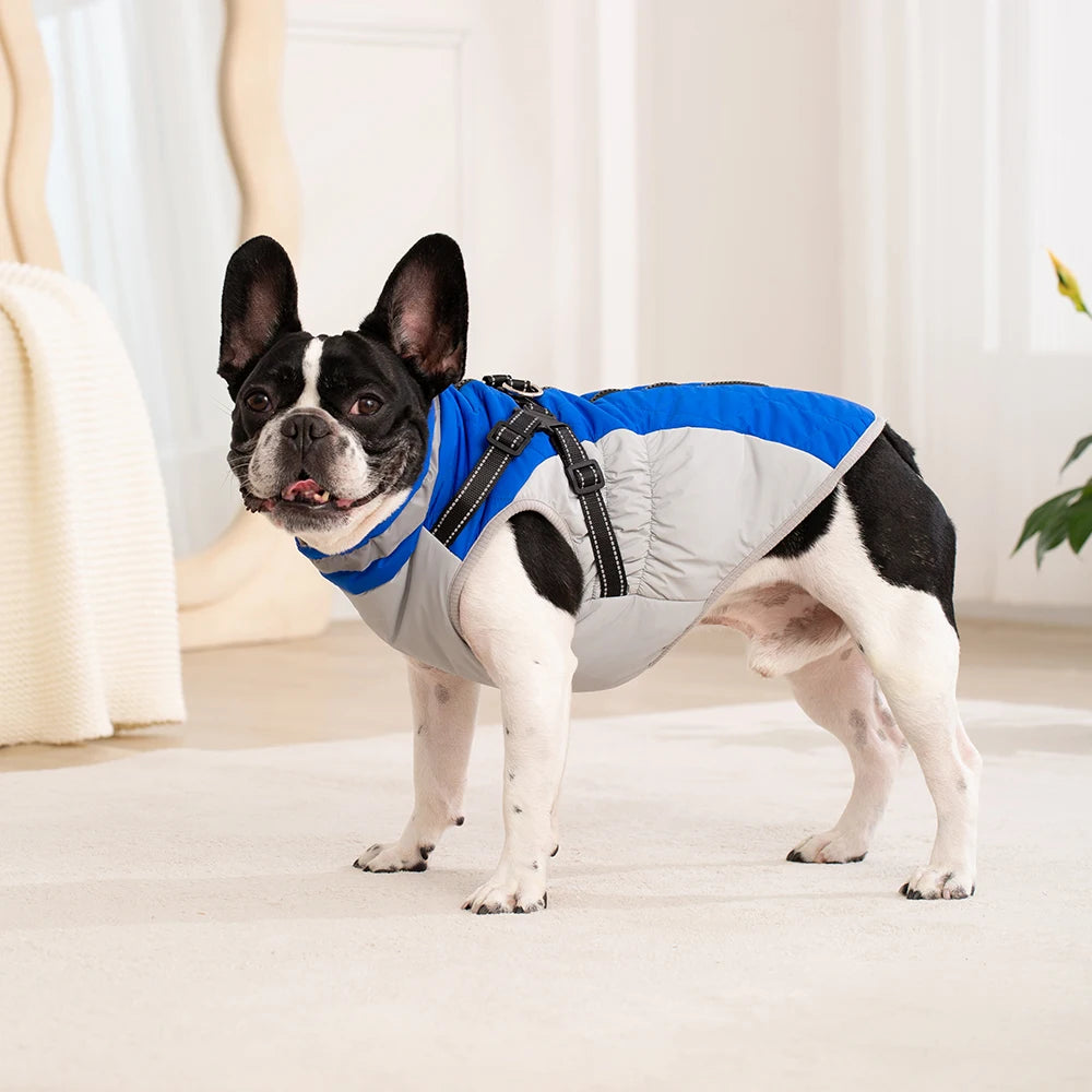 Waterproof jacket