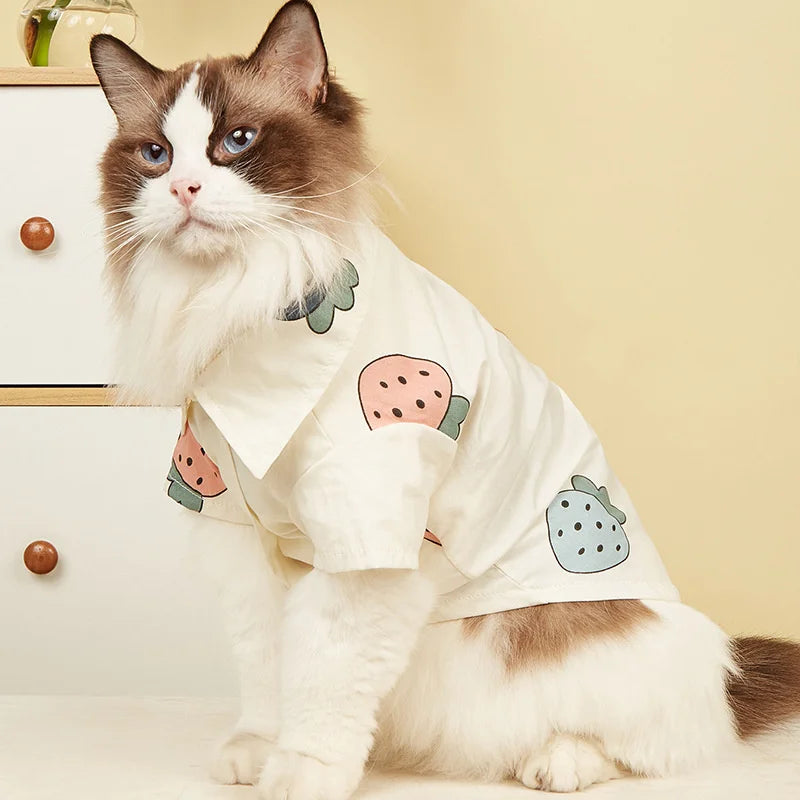 Fashion Sphynx T-shirt.