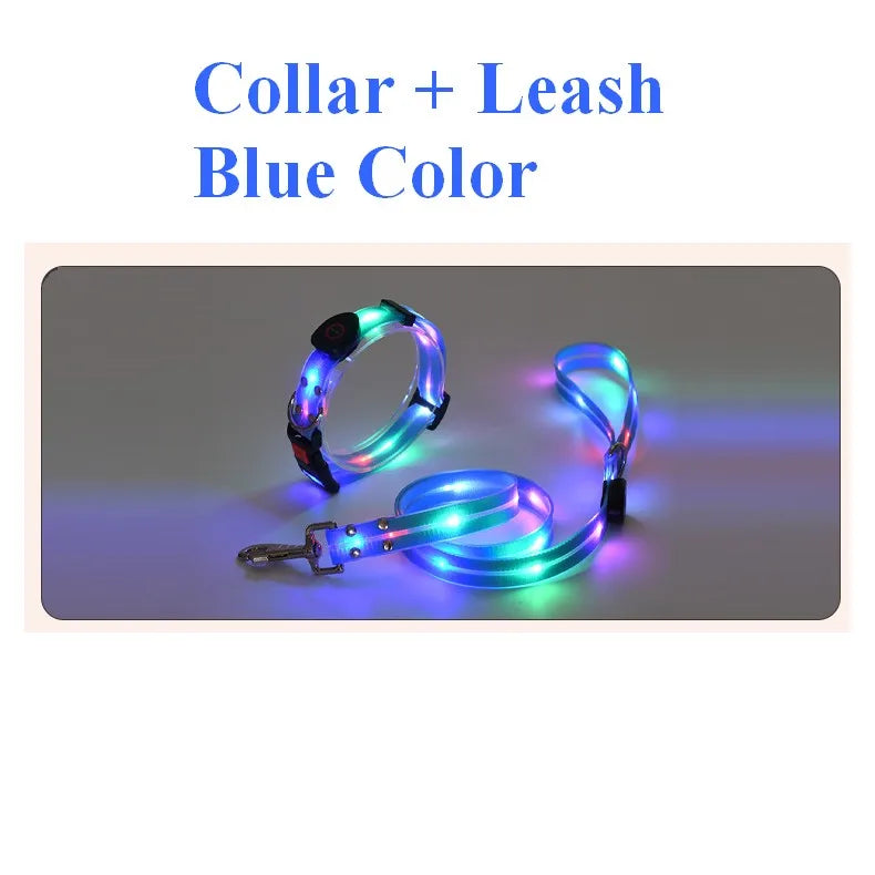LED collar