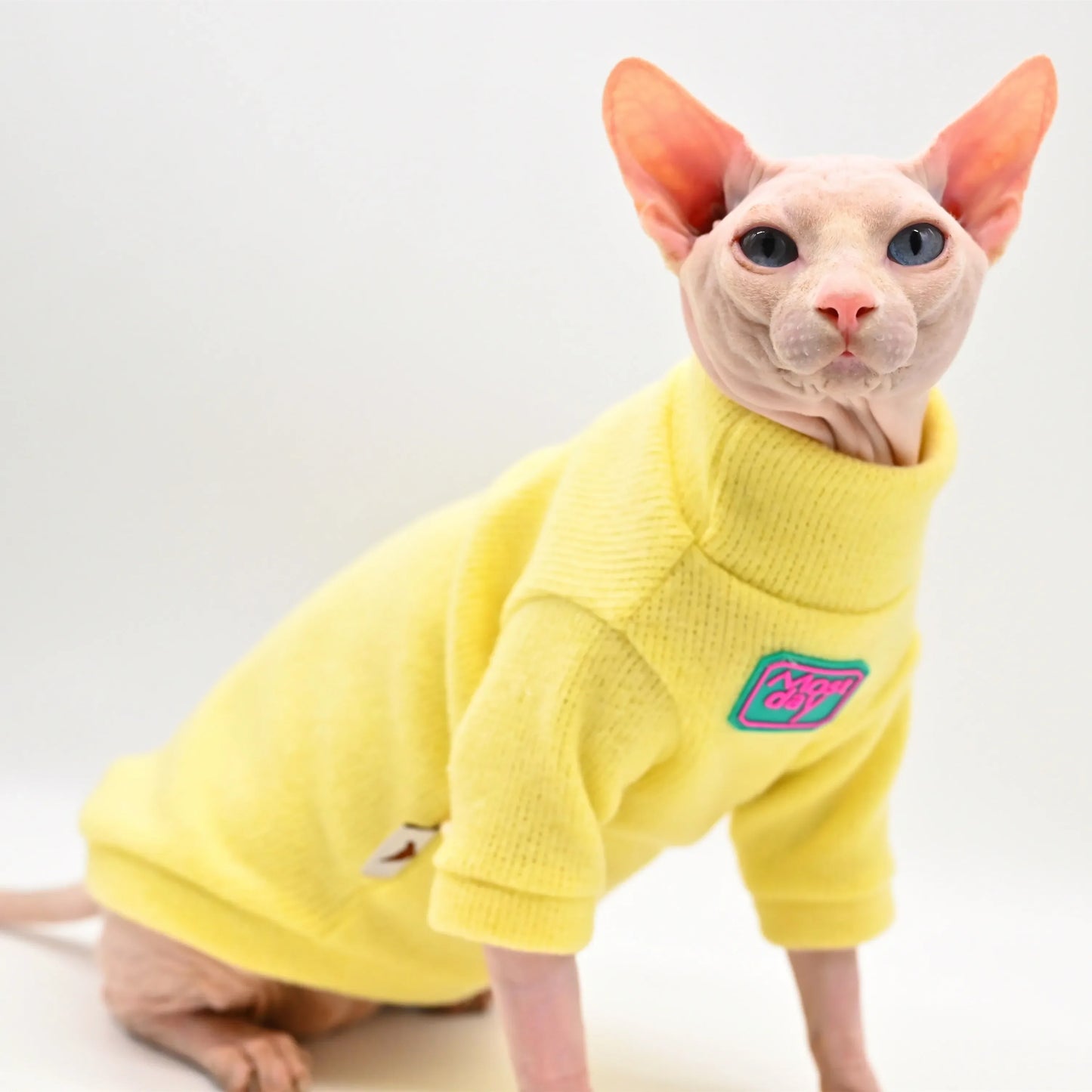 DUOMASUMI-Devon Sphynx Cat Clothes, Fashion Kitty, Soft and Comfort, Winter Hairless Cat Clothes