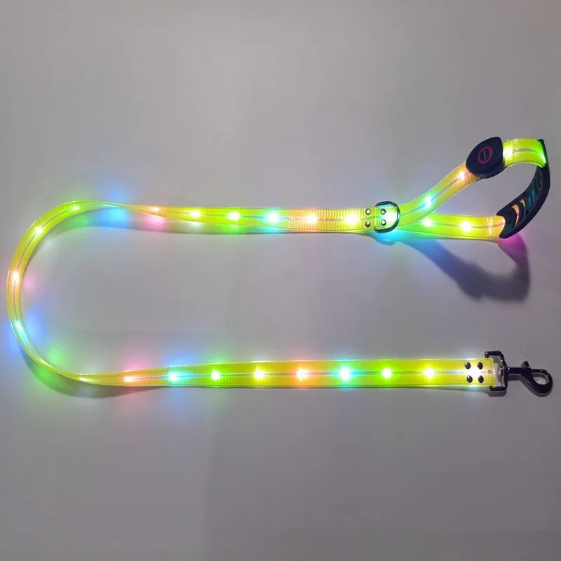 LED collar