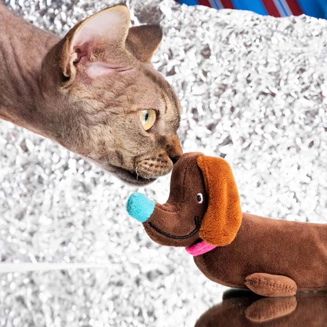 Sausage Dog Catnip Toy