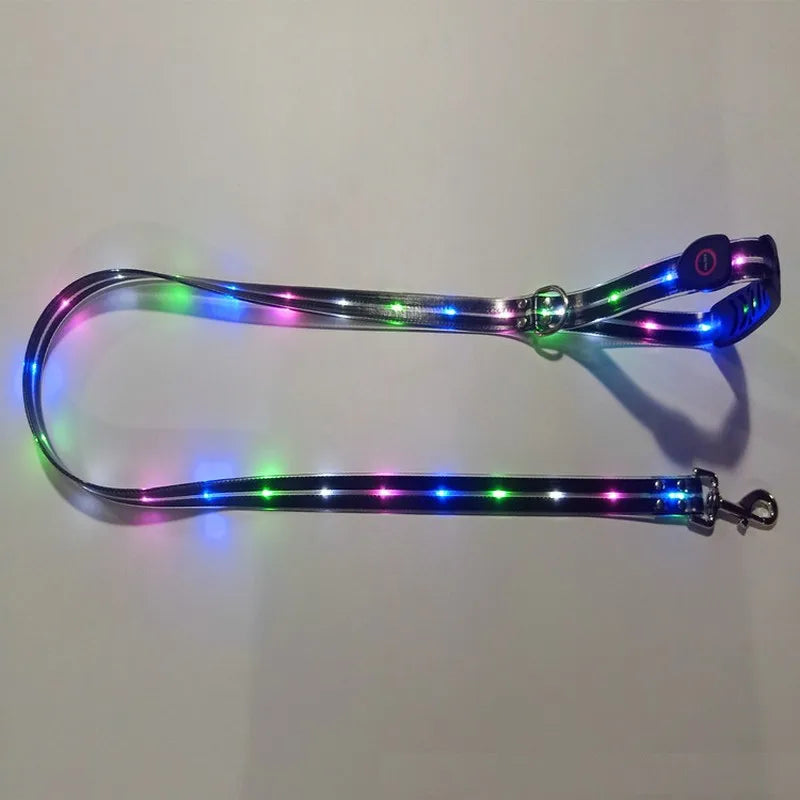 LED collar