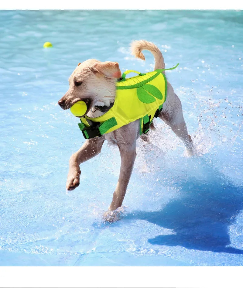 Bee/Dragon Life jacket