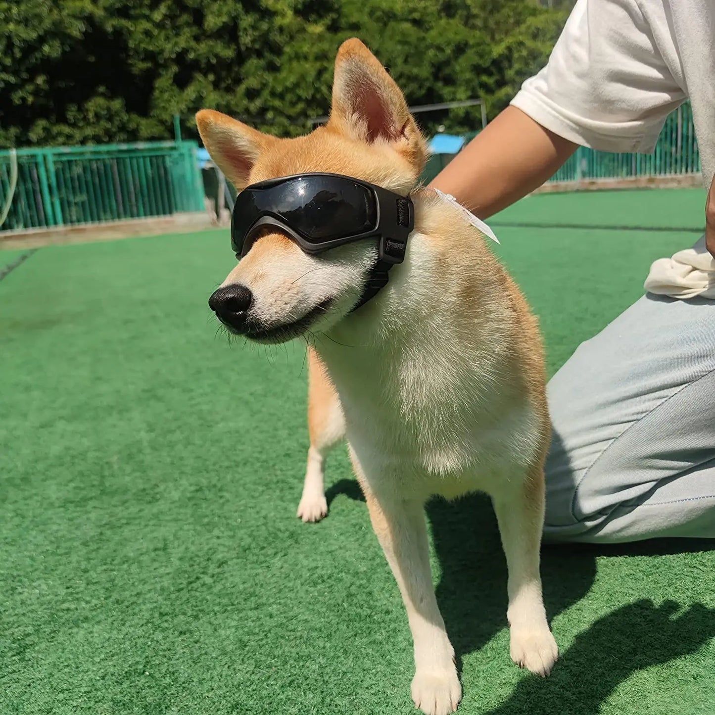 Sunglasses with UV protection