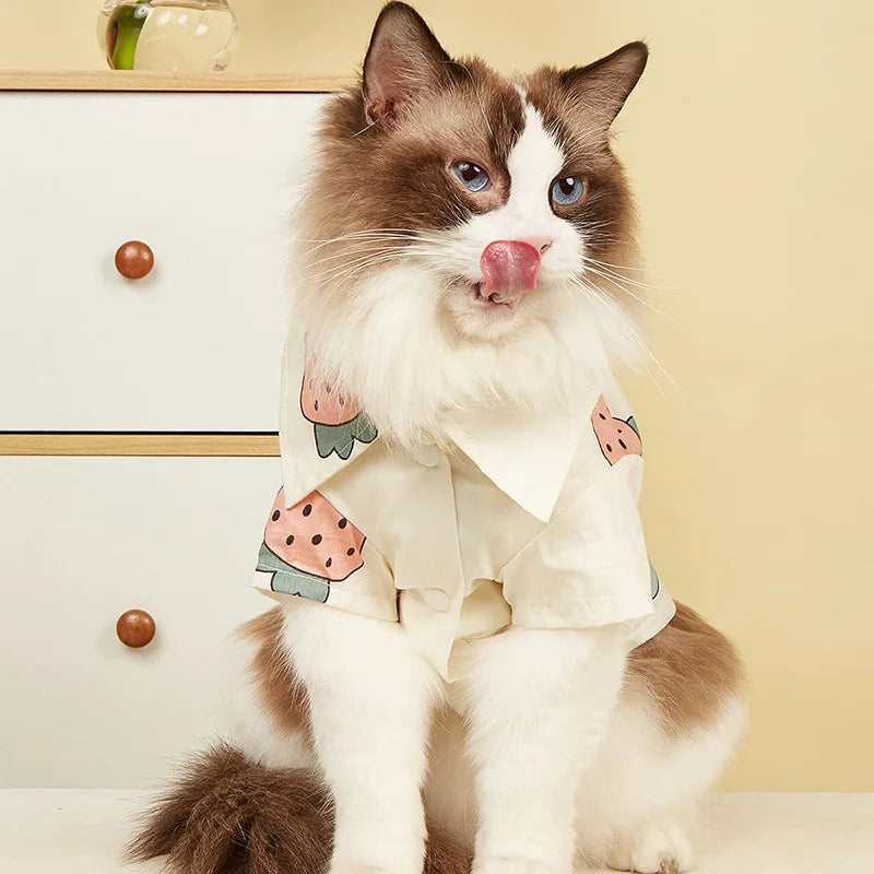 Fashion Sphynx T-shirt.