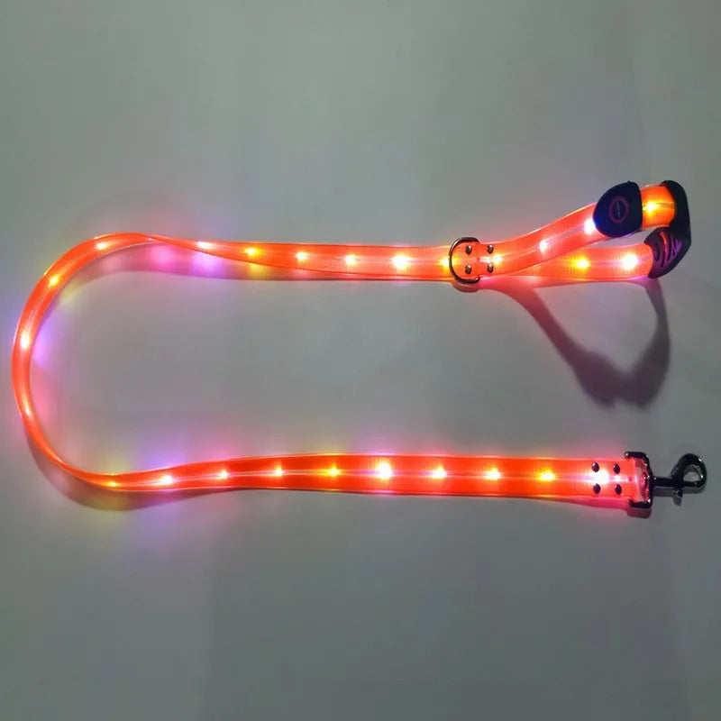 LED collar