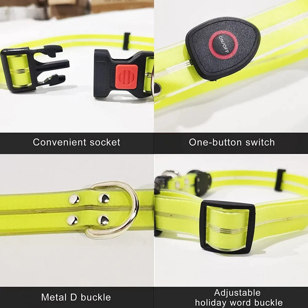 LED collar