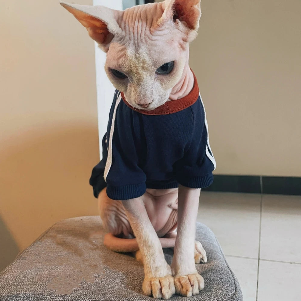 Fashion Cotton T-shirt for Cat Spring Janpanese Style Blue Long Sleeves Letters Sweatshirt For Sphinx Cat Devon Rex Jumpsuit