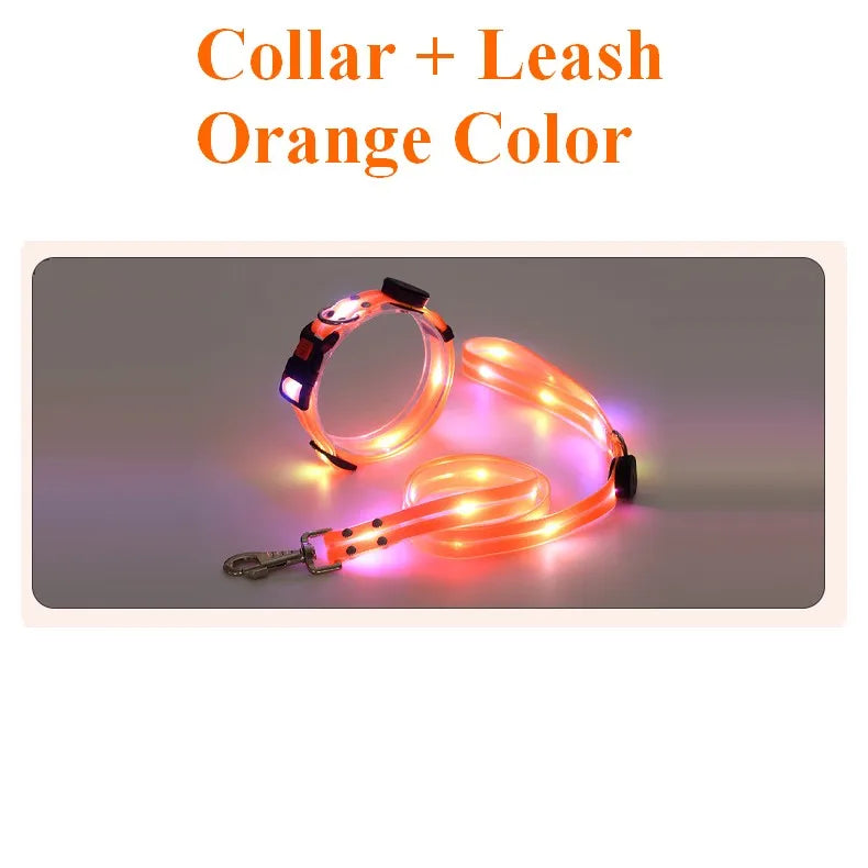 LED collar