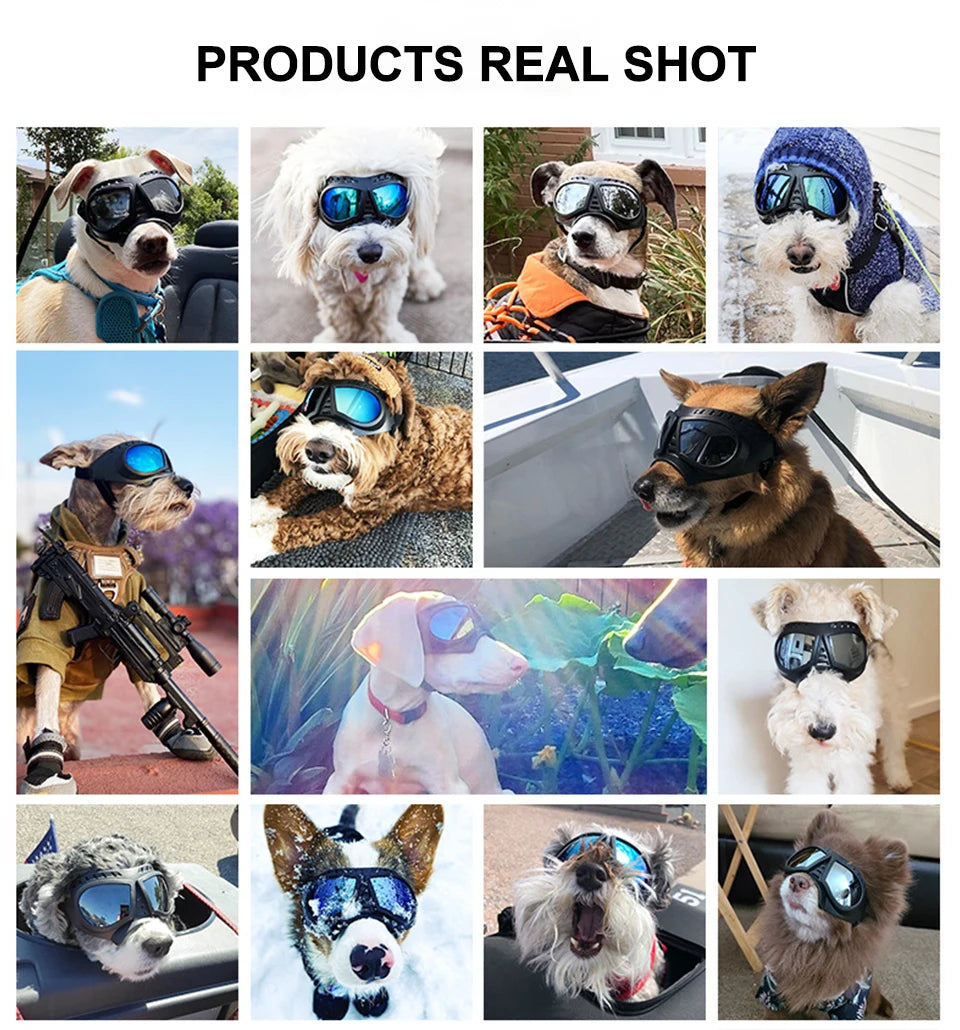 Cool Pet Dog Goggles Dog Outdoor UV Protection Sunglasses Dog Accessories Eye Protection Waterproof Windproof Adjustable Straps