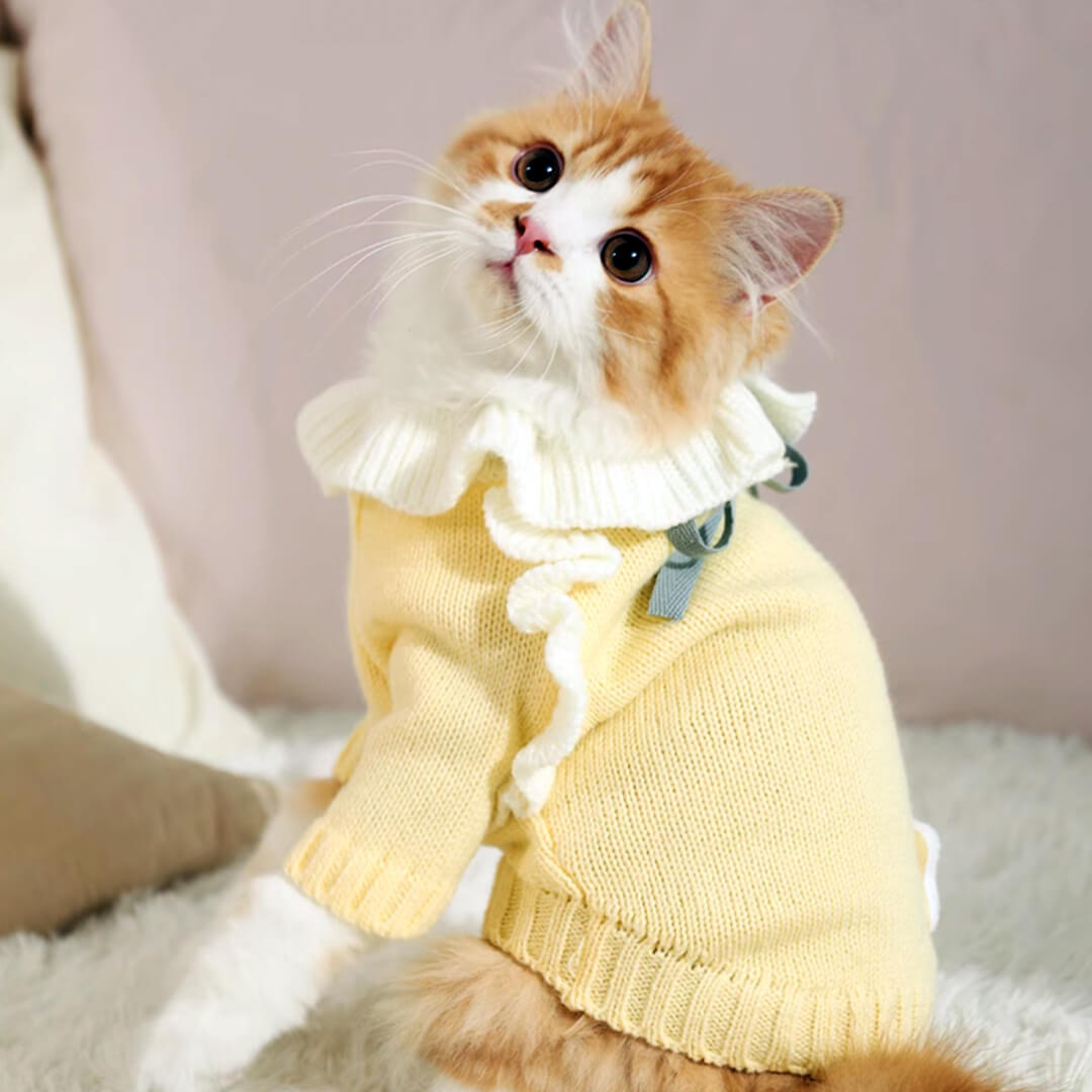Starry Cat Sweater