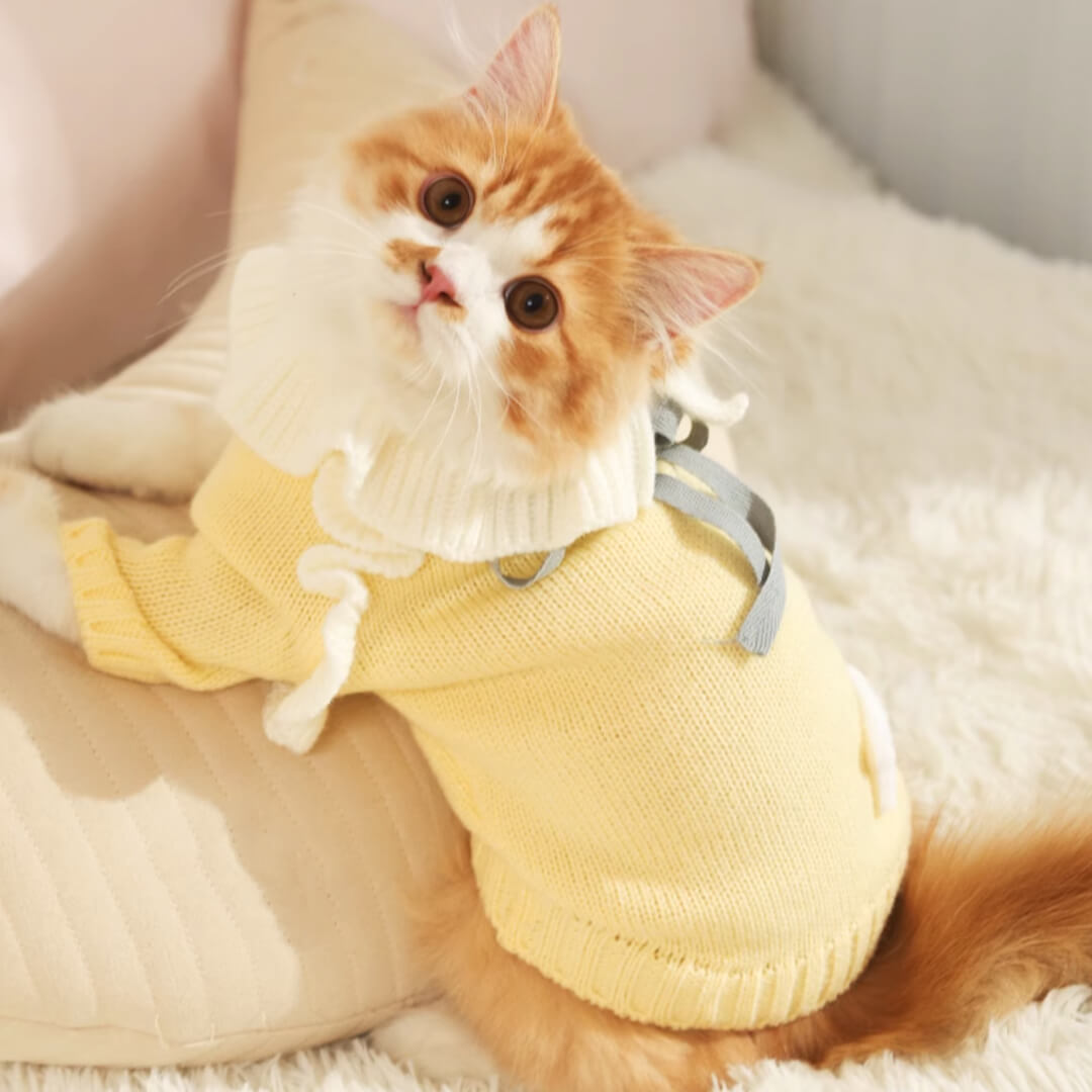 Starry Cat Sweater