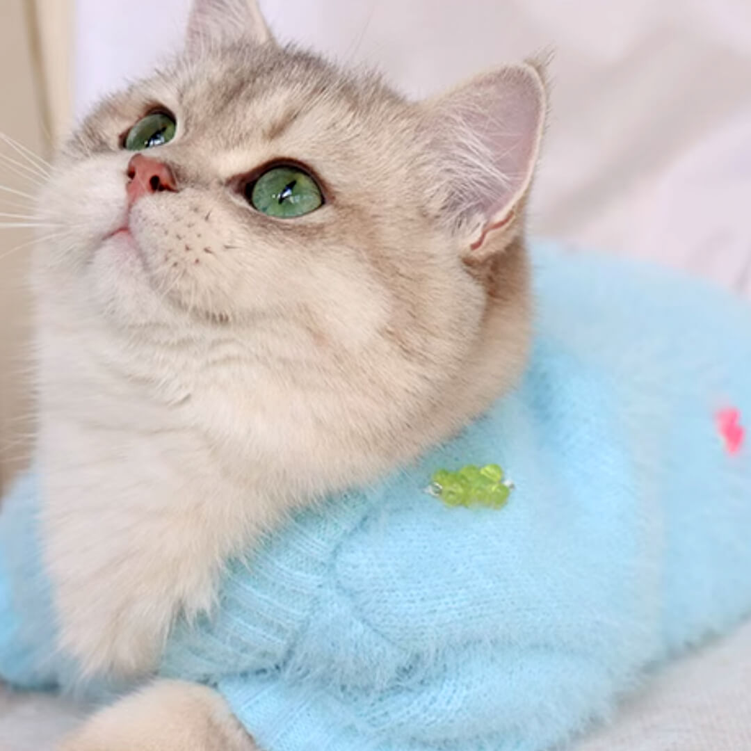 Jelly Bear Cat Cardigan