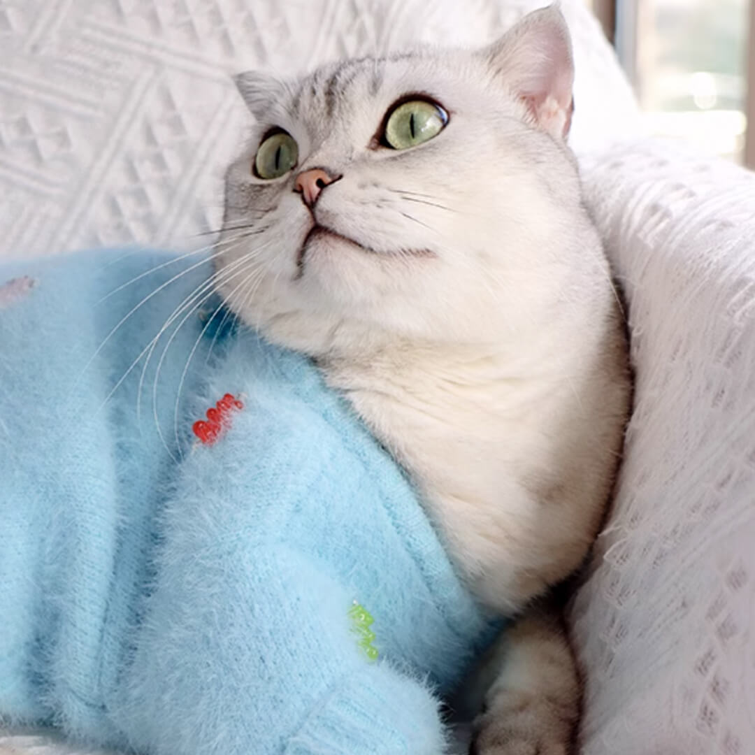 Jelly Bear Cat Cardigan
