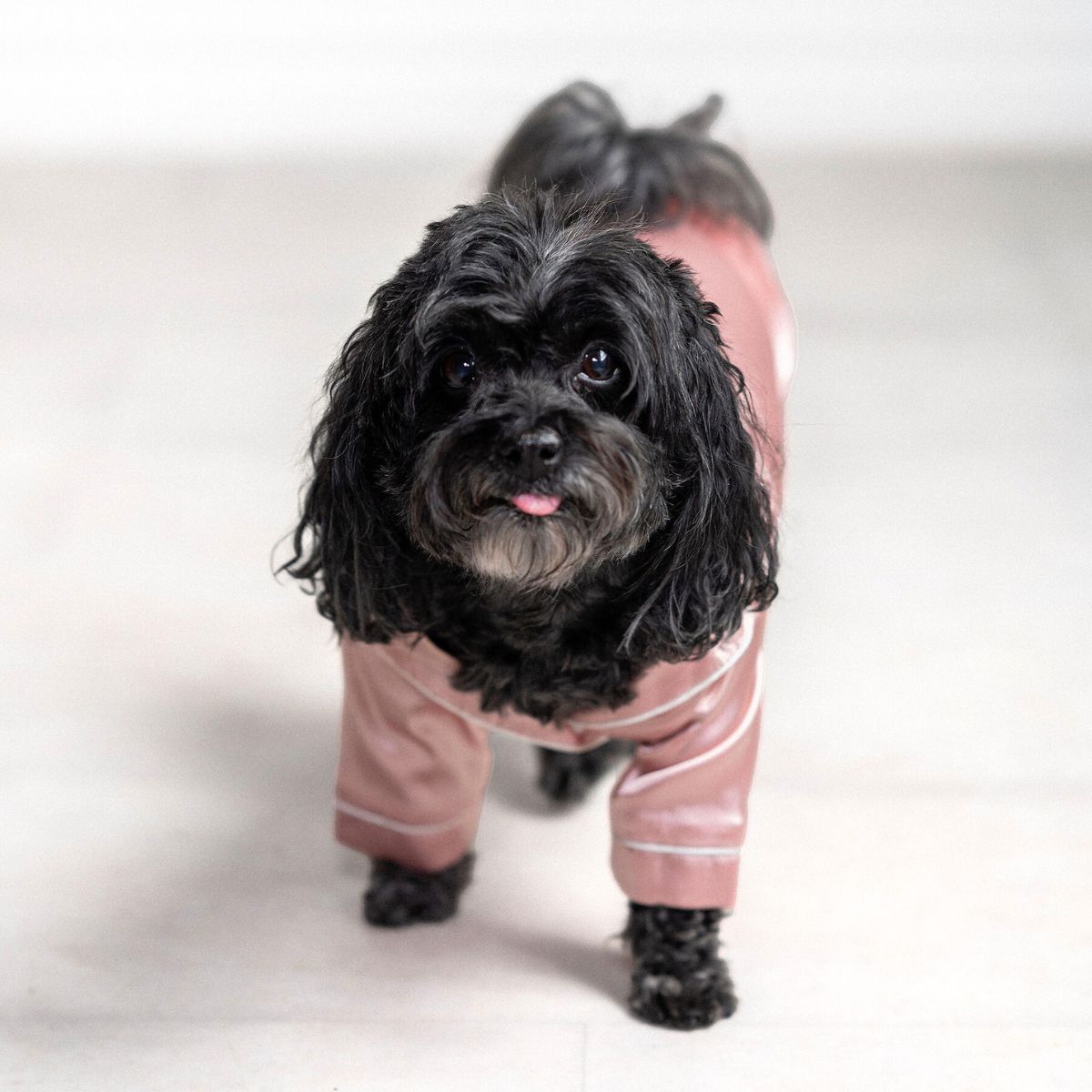 Talula Dog Pajamas