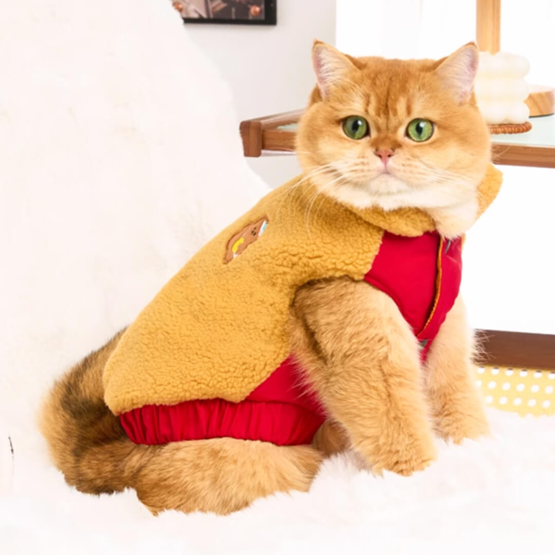 Teddy Cat Jacket
