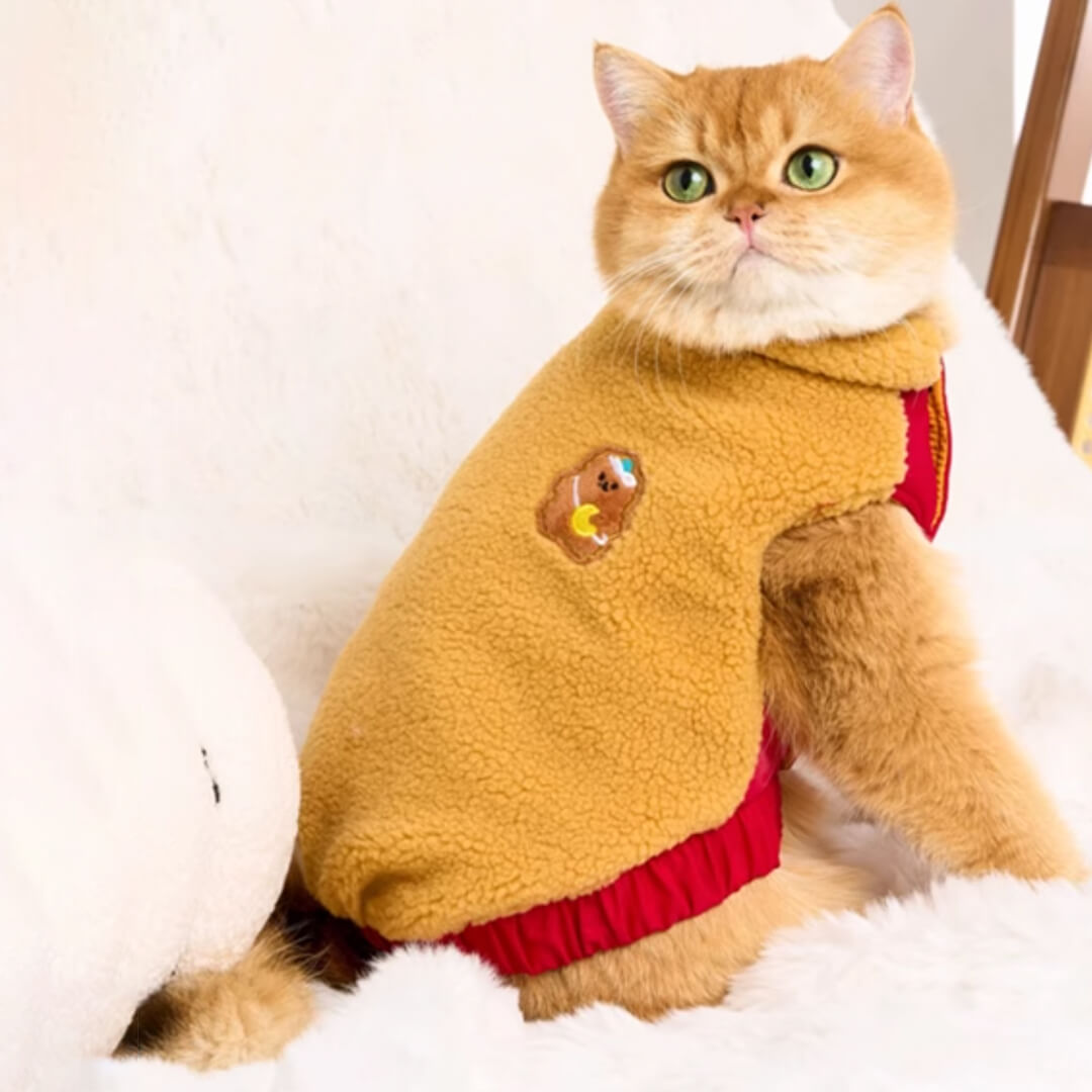 Teddy Cat Jacket