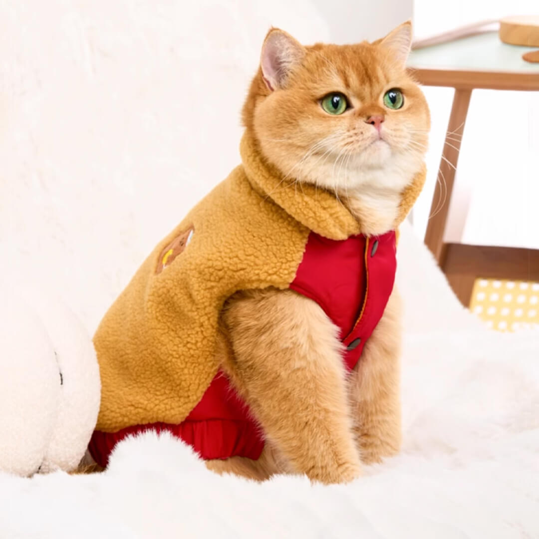 Teddy Cat Jacket